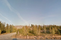 alpine kennels vets in sun valley idaho