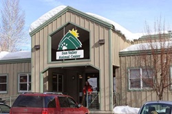 sun valley animal center pet friendly veterinarians in ketchum, idaho