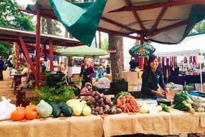 sun valley fun farmers markets